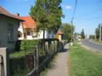 Homrogd030926 093.jpg (107kb)